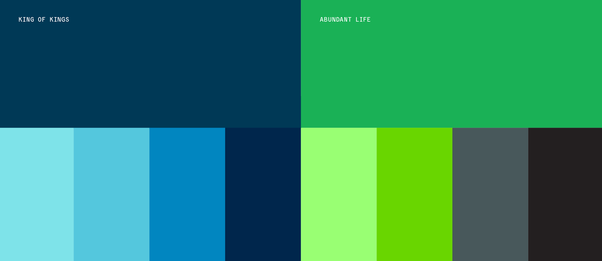Christ Health color palette.