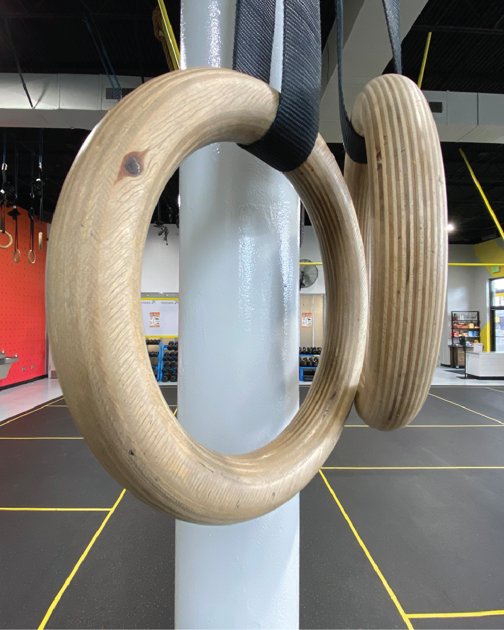 Iron Tribe workout rings.