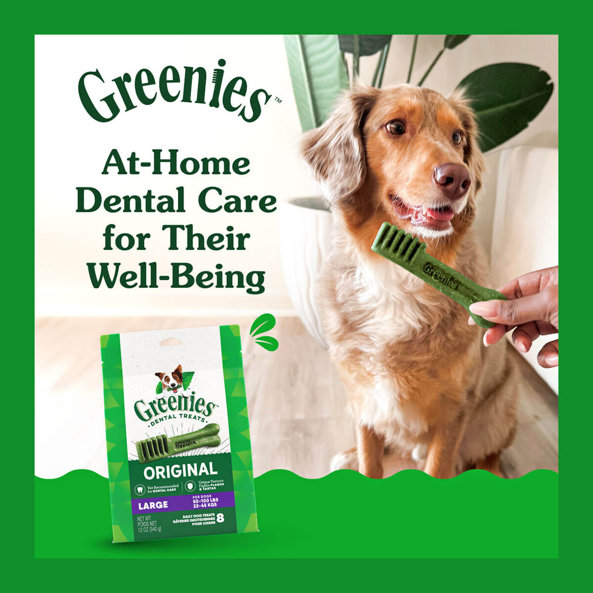 Greenies Digital Ad