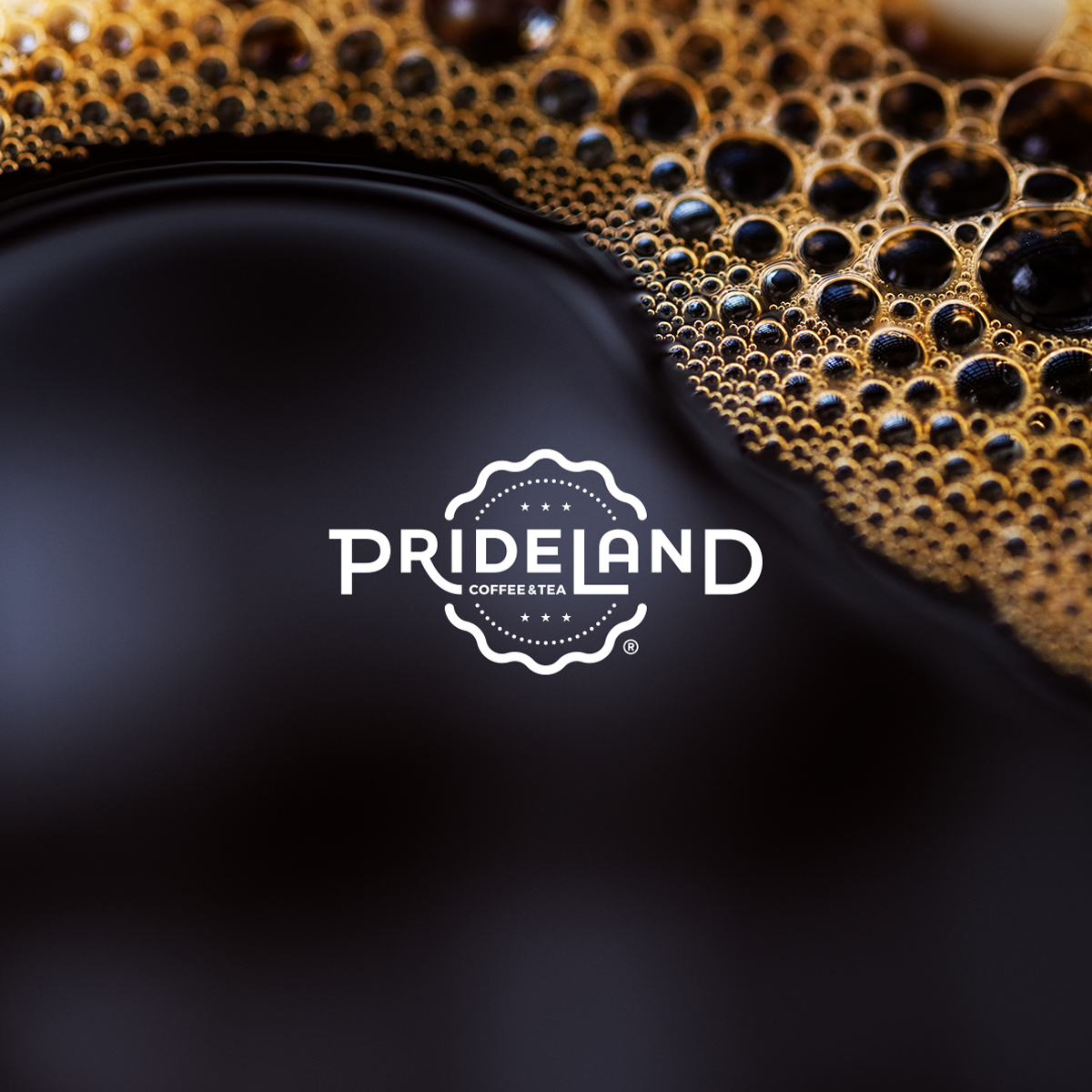 Prideland Logo