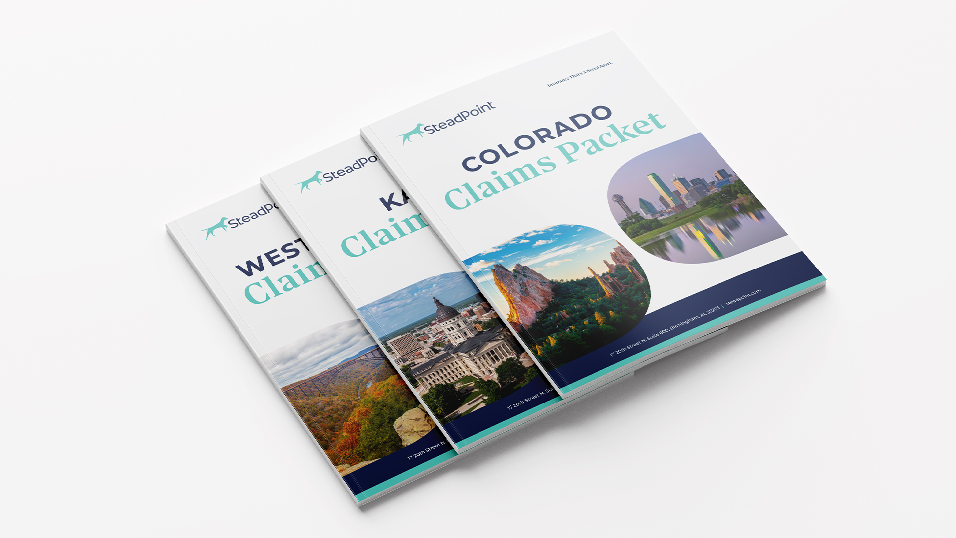 Steadpoint claims packet.