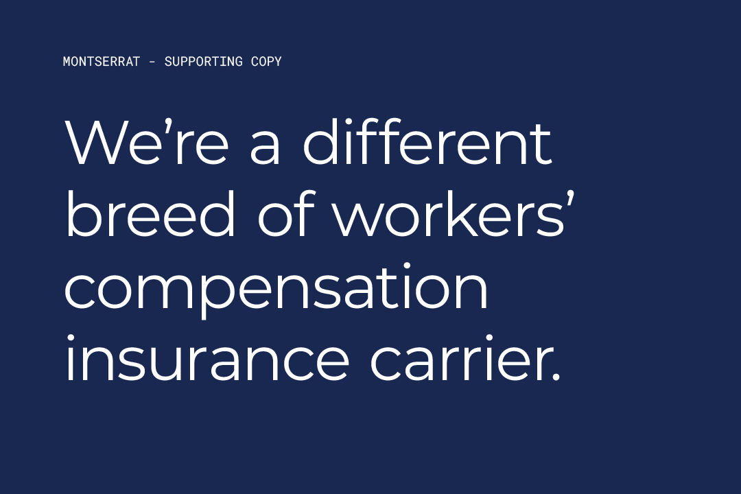 Steadpoint typography were different.