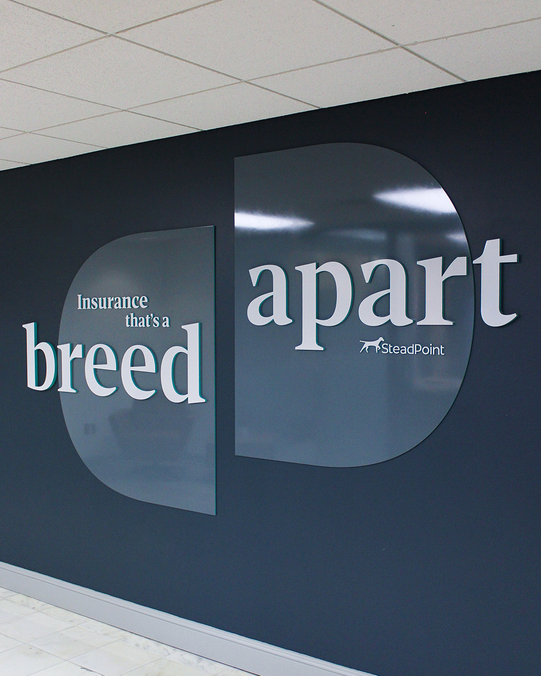 Steadpoint a breed apart wall graphic.